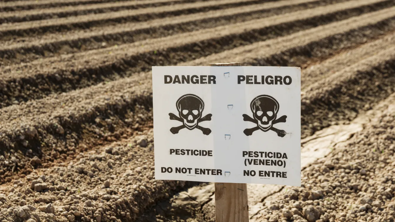 Pesticide