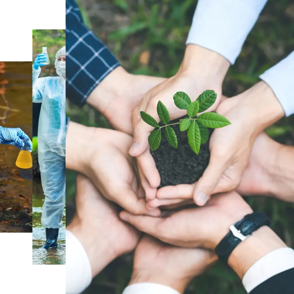 Corporate social responsibility